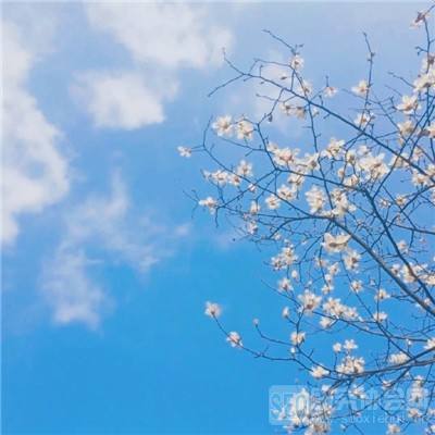 屠鲲传说官方版下载